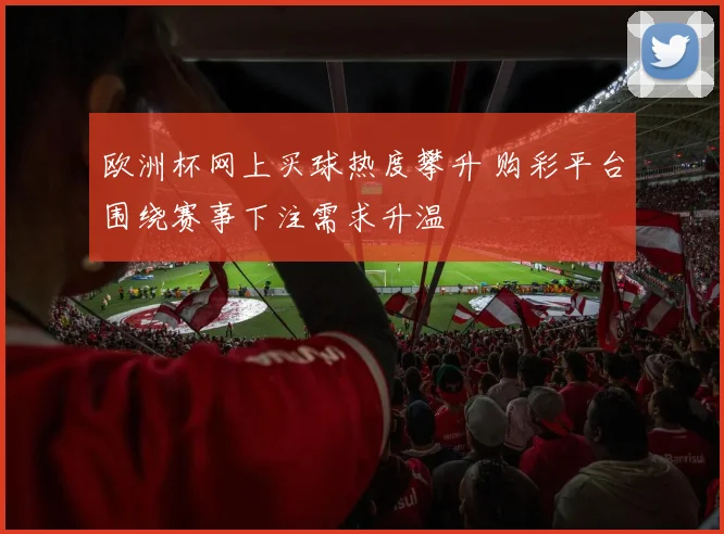 欧洲杯网上买球热度攀升 购彩平台围绕赛事下注需求升温