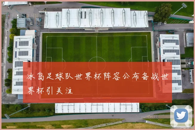 冰岛足球队世界杯阵容公布备战世界杯引关注