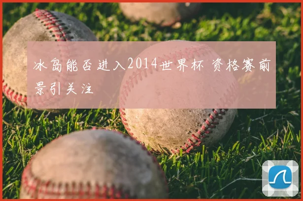 冰岛能否进入2014世界杯 资格赛前景引关注