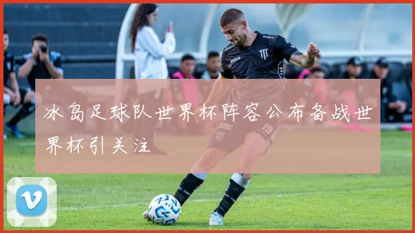 冰岛足球队世界杯阵容公布备战世界杯引关注