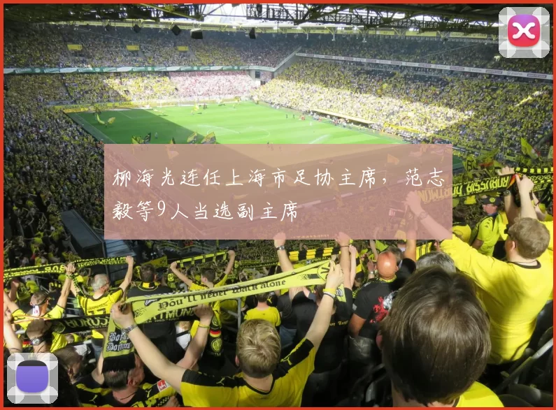 柳海光连任上海市足协主席，范志毅等9人当选副主席