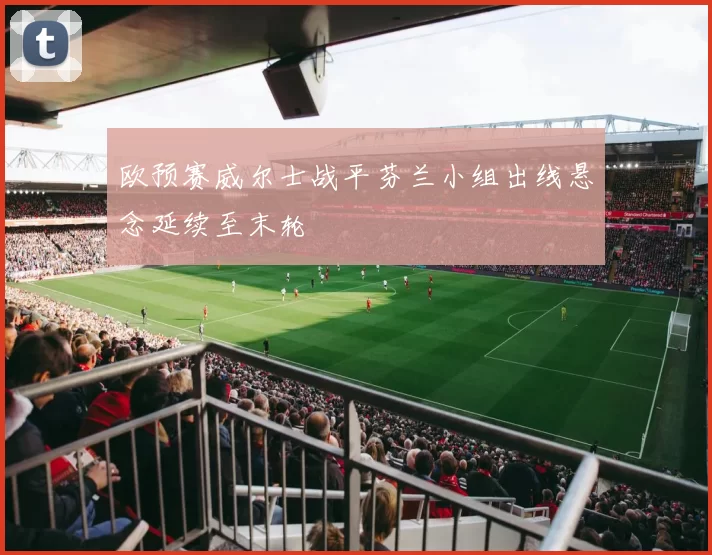 欧预赛威尔士战平芬兰小组出线悬念延续至末轮